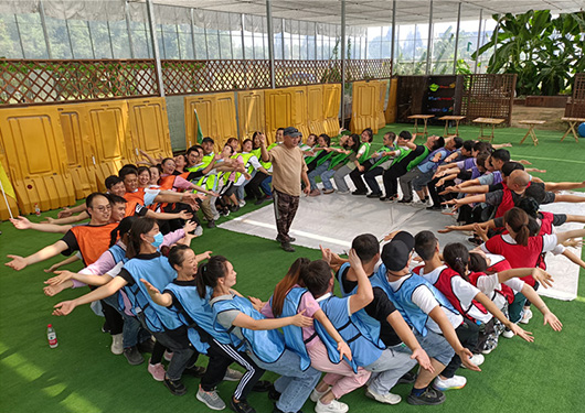 6000分子量聚醚在制備聚氨酯膠黏劑和灌封材料中的應用與技術分析